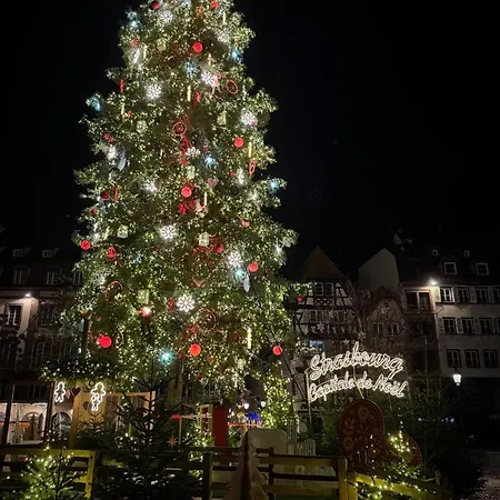 Apartamento Magnifique Strasbourg, Vue Cathedrale Exceptionnelle *
